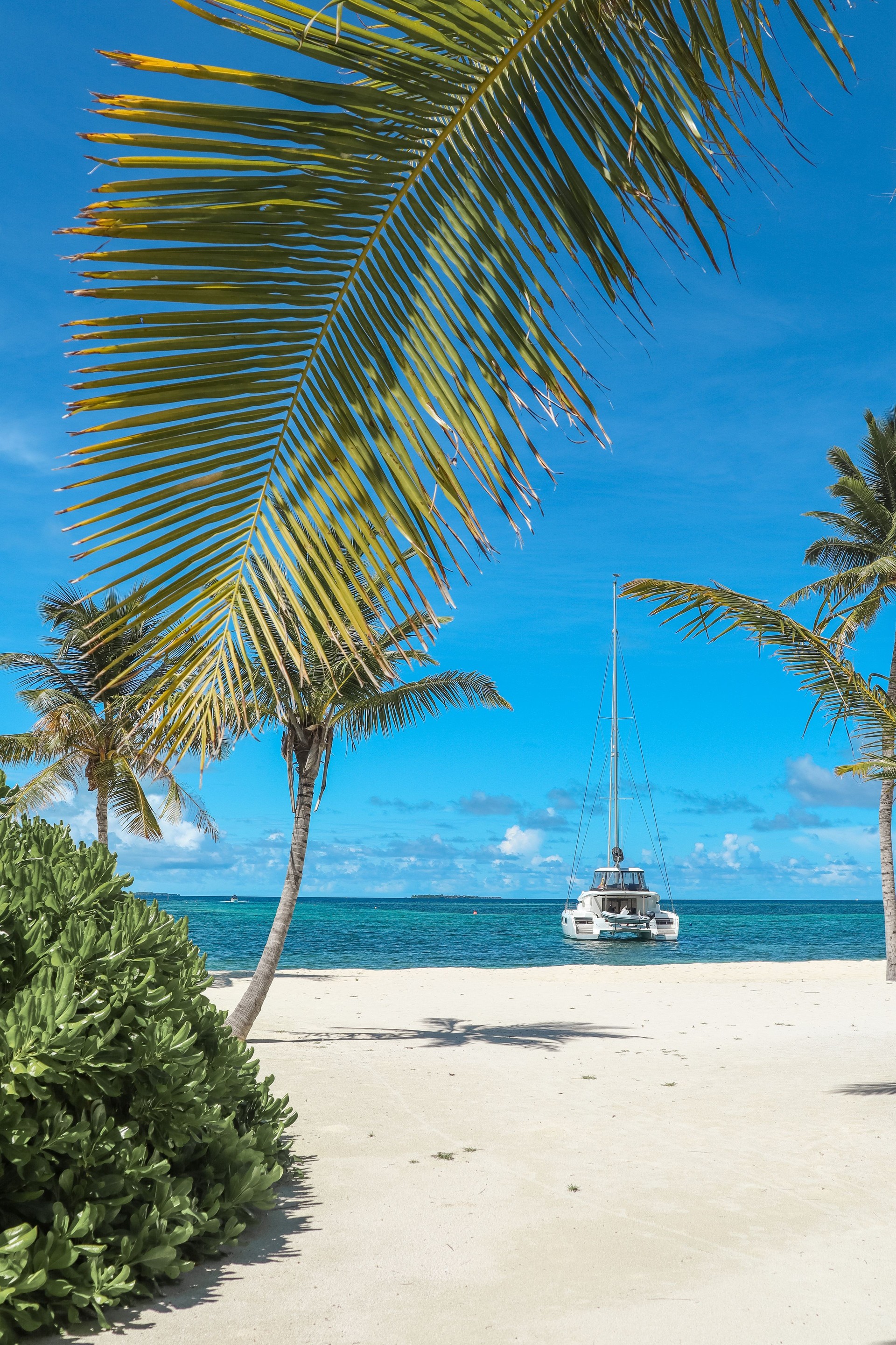 Catamaran sailboat yacht ship anchored in tropical Maldives turquoise island lagoon with palm trees